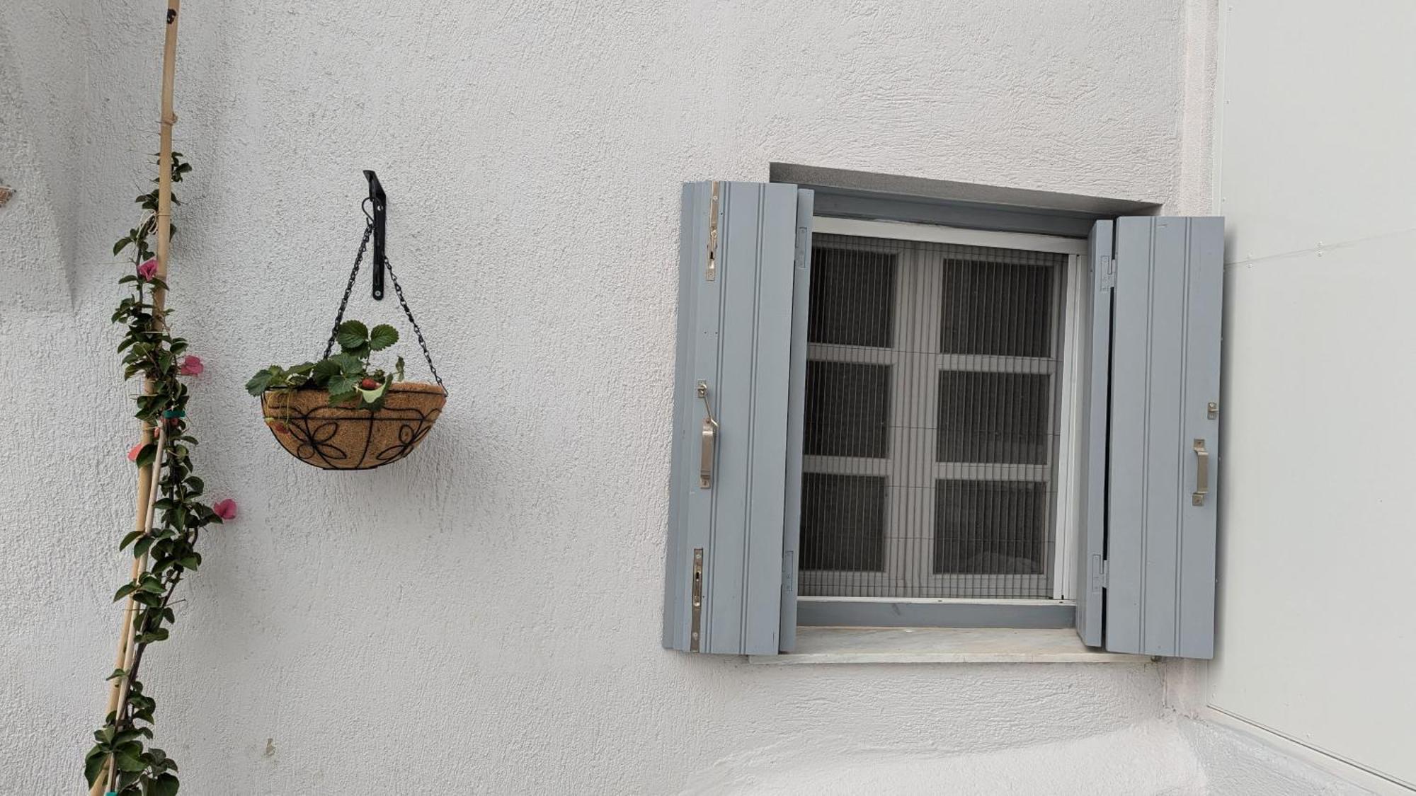 The Botanist Guesthouse Skopelos Town Exterior photo